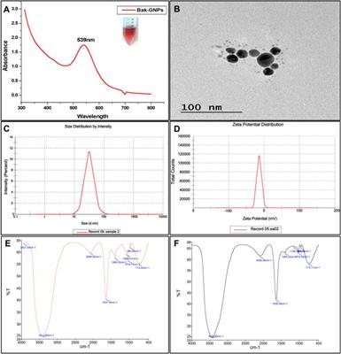 Sustainable synthesis of bakuchiol-mediated gold nanoparticles for drug delivery against bacterial strains and tumor microenvironments, and its in silico target proteins identification